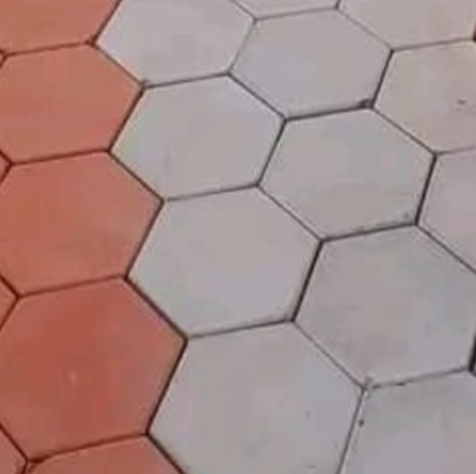 Hexagon Paver Block